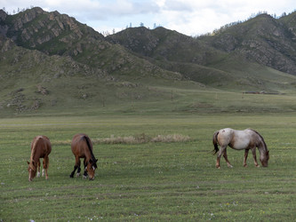 Similar image 21771240