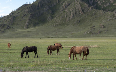 Similar image 21771242