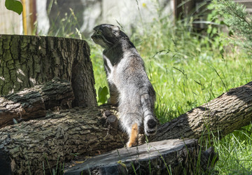 Similar image 21770990