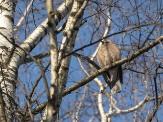 Similar image 21770993