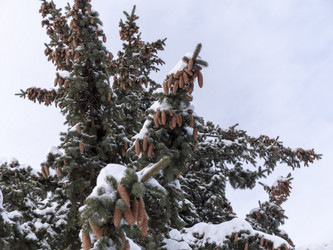 Similar image 21770994