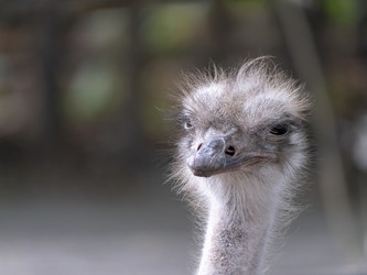 Similar image 21770996