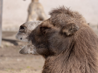 Similar image 21770997