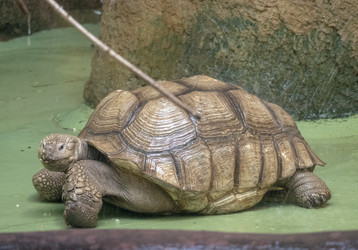 Similar image 21770999