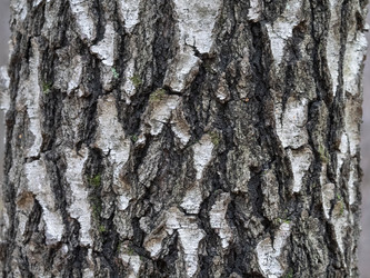 Similar image 21771001