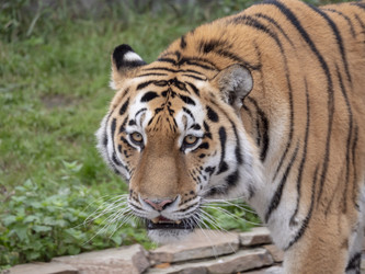 Similar image 21771002