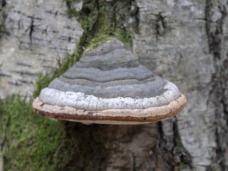 Similar image 21771003