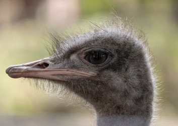 Similar image 21771004