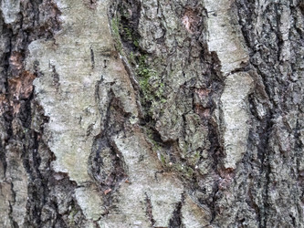 Similar image 21771005