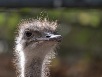 Similar image 21771006