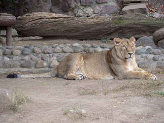 Similar image 21771008