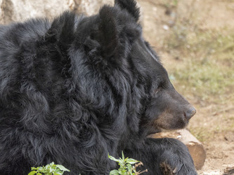 Similar image 21770347