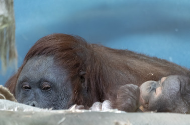 Similar image 21770349