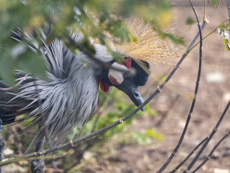 Similar image 21770353