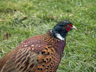 Similar image 21770358