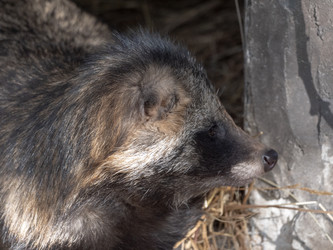 Similar image 21770359