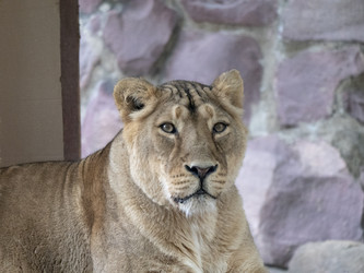 Similar image 21770362