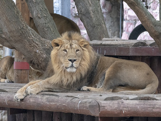 Similar image 21770363