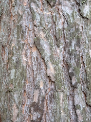 Similar image 21770364