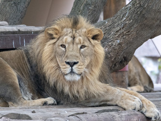 Similar image 21770552