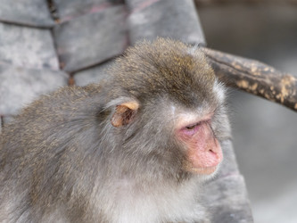 Similar image 21770564