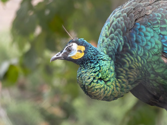 Similar image 21770566