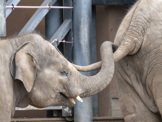 Similar image 21770570