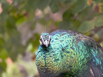 Similar image 21770572