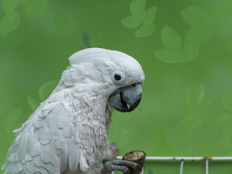 Similar image 21770575