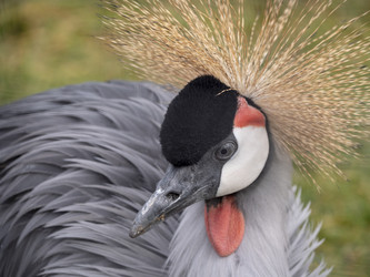 Similar image 21770758