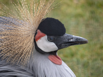 Similar image 21770760