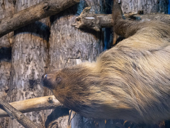 Similar image 21770762