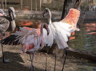 Similar image 21770763