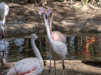 Similar image 21770765