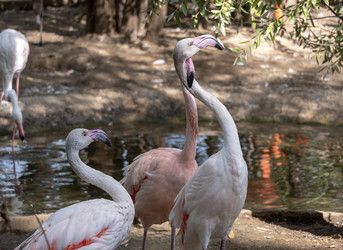 Similar image 21770769