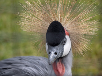 Similar image 21770770