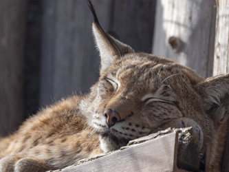 Similar image 21770771