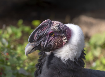 Similar image 21770772