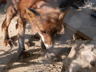 Similar image 21770777