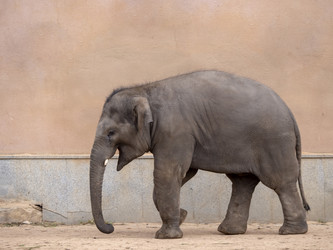 Similar image 21770778