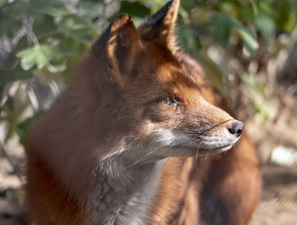 Similar image 21770779