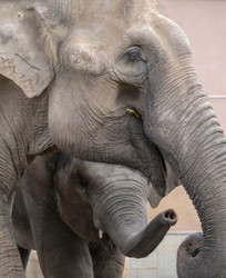 Similar image 21770780