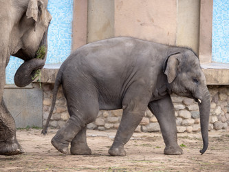 Similar image 21770784