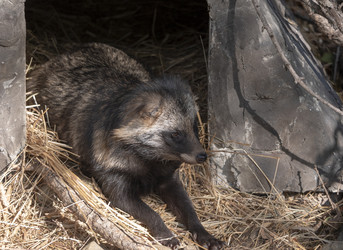 Similar image 21770788