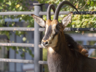 Similar image 21770789