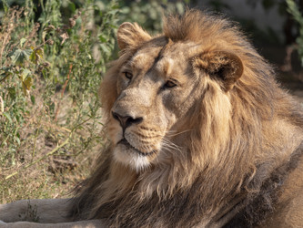 Similar image 21770790