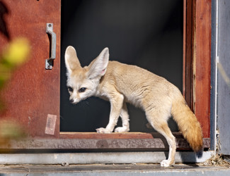 Similar image 21770791