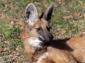 Similar image 21770792