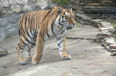 Similar image 21770793