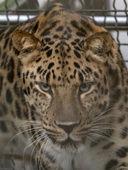 Similar image 21771011